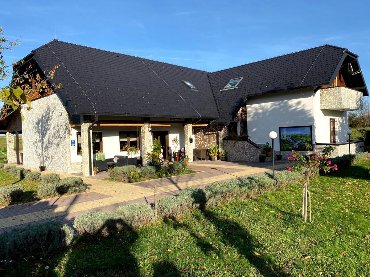 Villa Stone 1 Rakovica Buitenkant foto