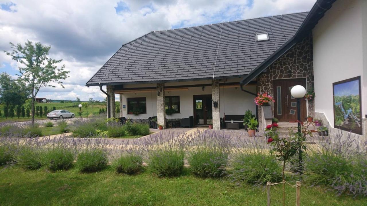 Villa Stone 1 Rakovica Buitenkant foto