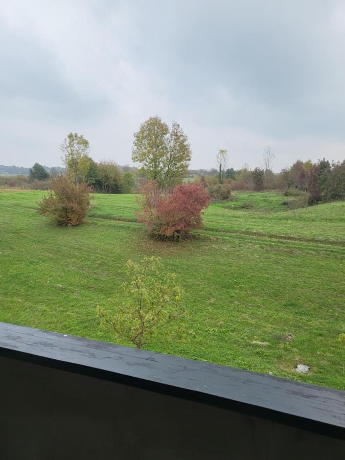 Villa Stone 1 Rakovica Buitenkant foto